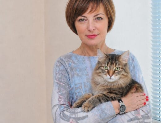 Временен дом за вашата очарователна котка🐱
